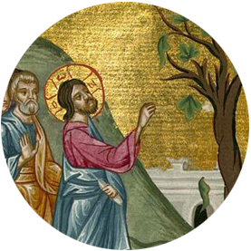 1.Kyriaki twn Vaiwn kyklos